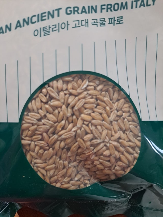 첨부파일