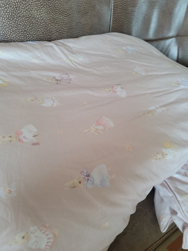 이미지를 찾을 수 없습니다.