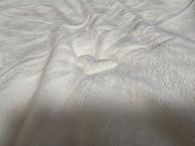 이미지를 찾을 수 없습니다.