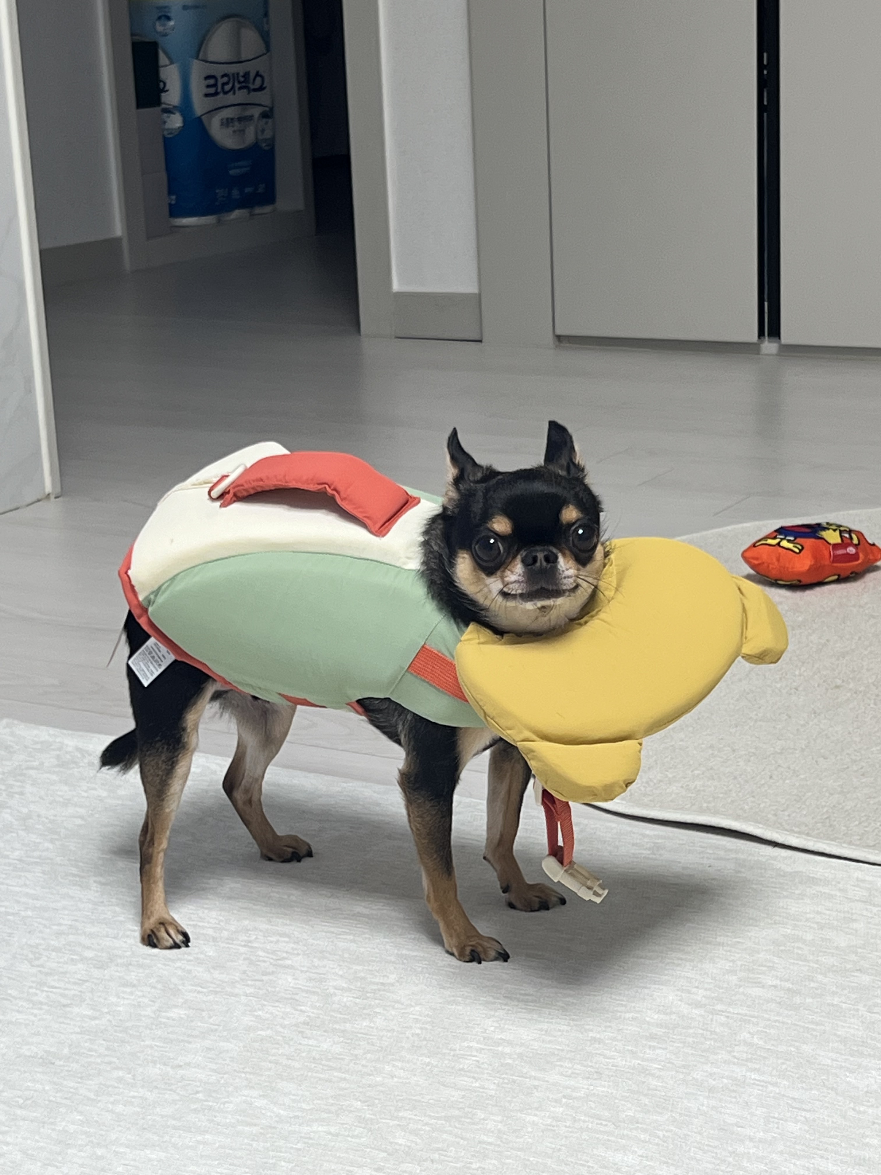 리뷰 이미지
