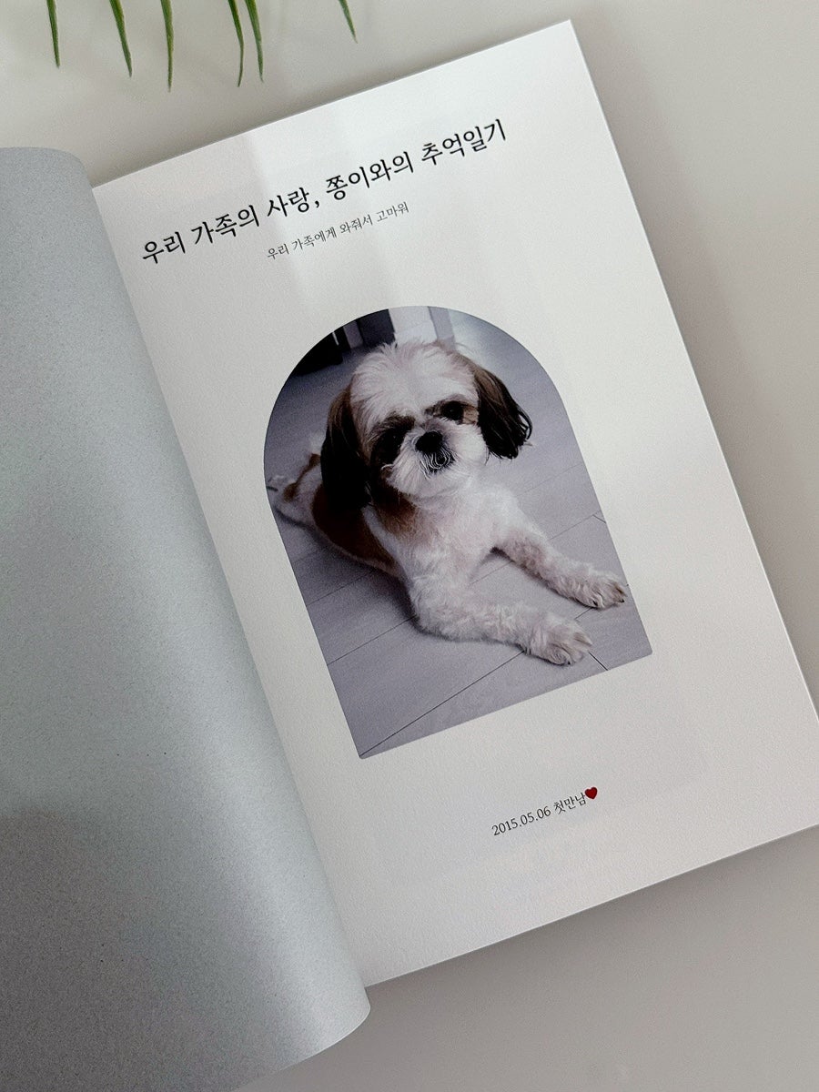 후기 사진 1