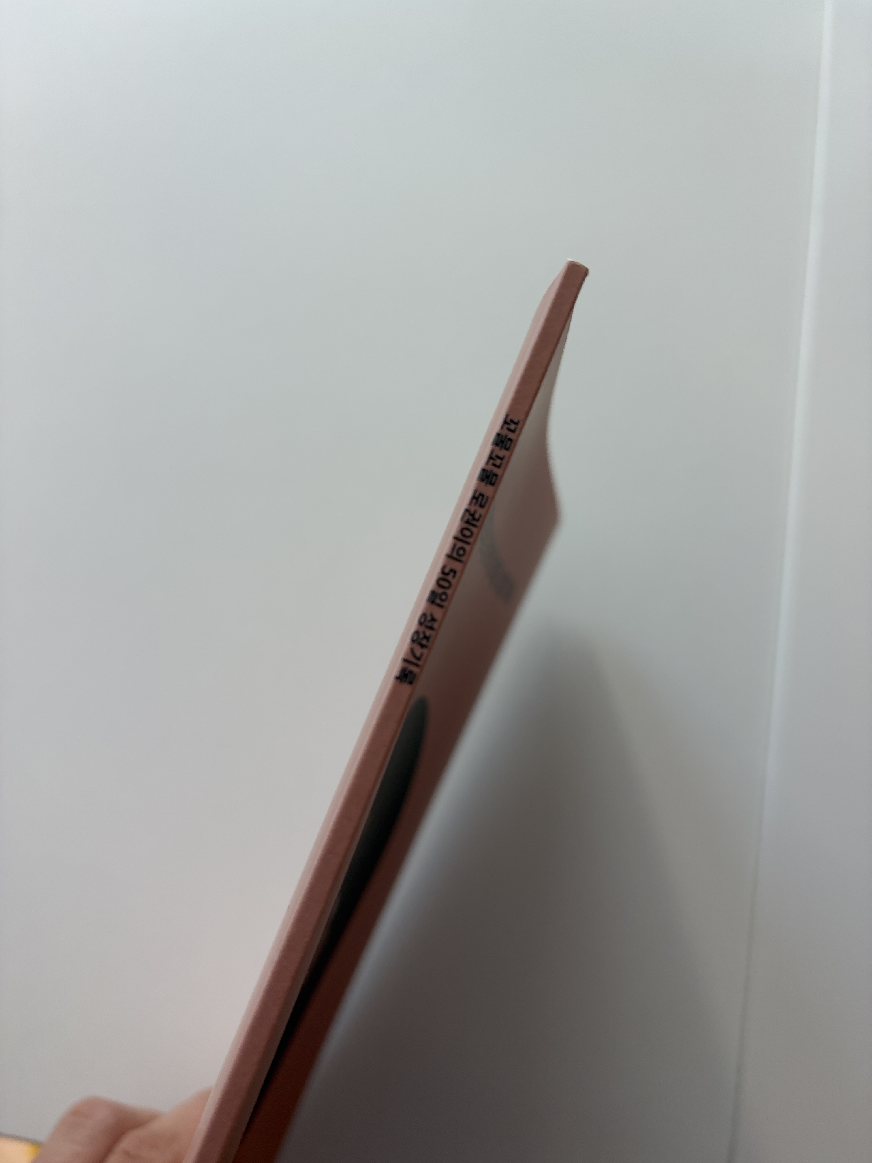 후기 사진 1