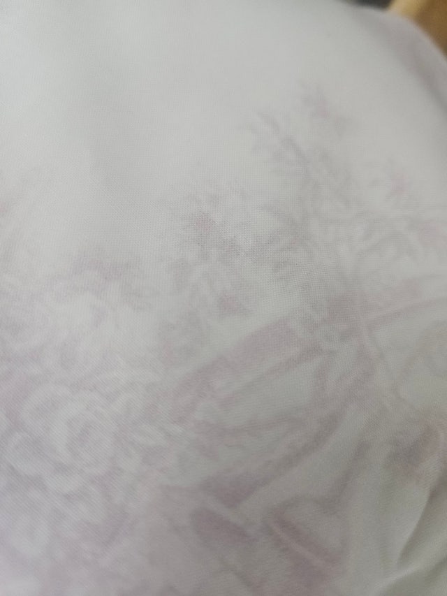 이미지를 찾을 수 없습니다.