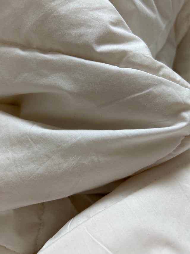 이미지를 찾을 수 없습니다.