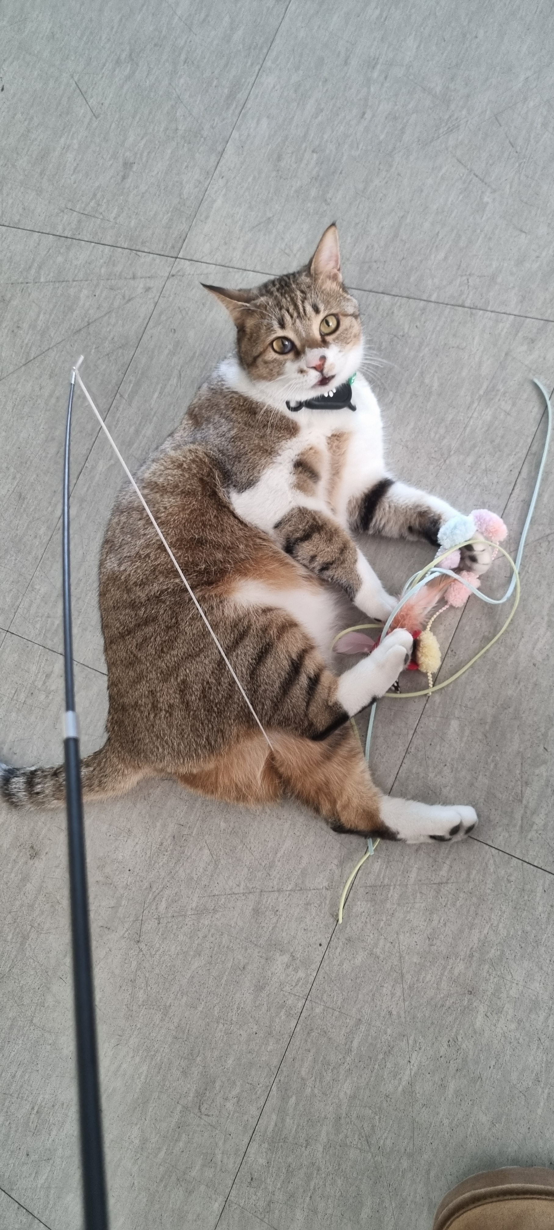 리뷰 이미지