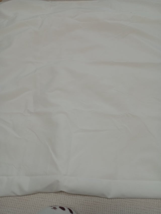 이미지를 찾을 수 없습니다.