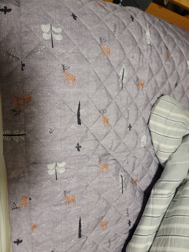 이미지를 찾을 수 없습니다.