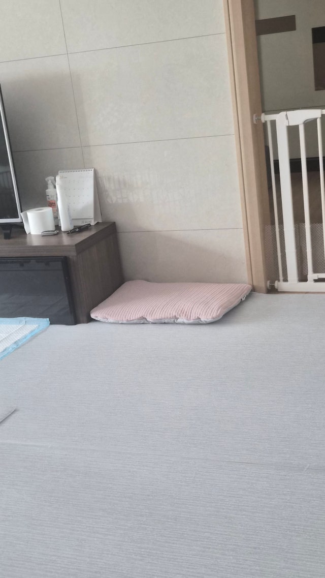 이미지를 찾을 수 없습니다.