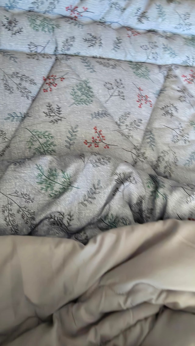 이미지를 찾을 수 없습니다.