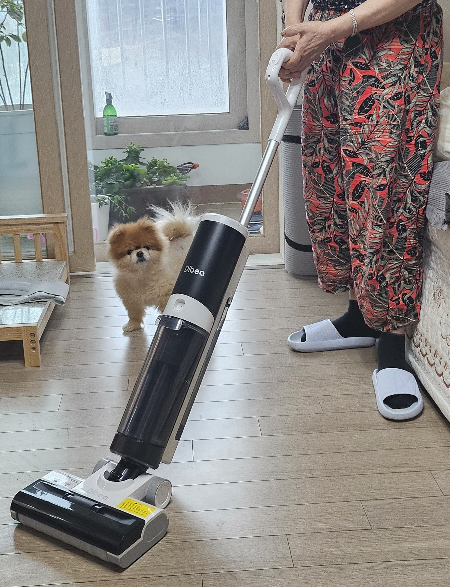 리뷰 이미지
