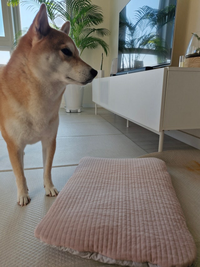 이미지를 찾을 수 없습니다.