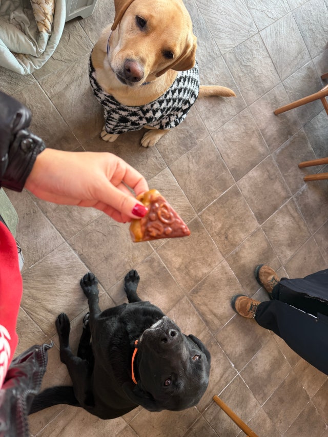 IMG_2725.jpeg?type=w640