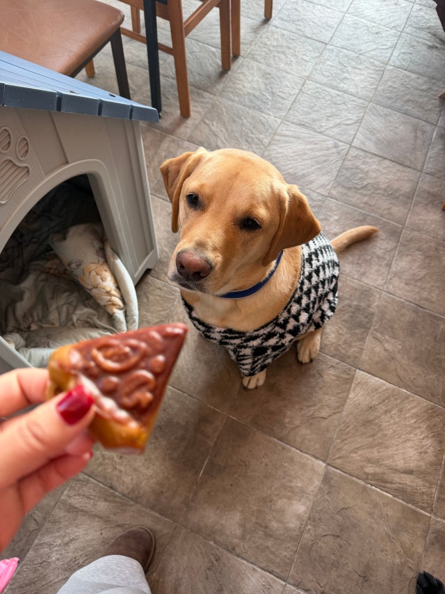 IMG_2724.jpeg?type=w640