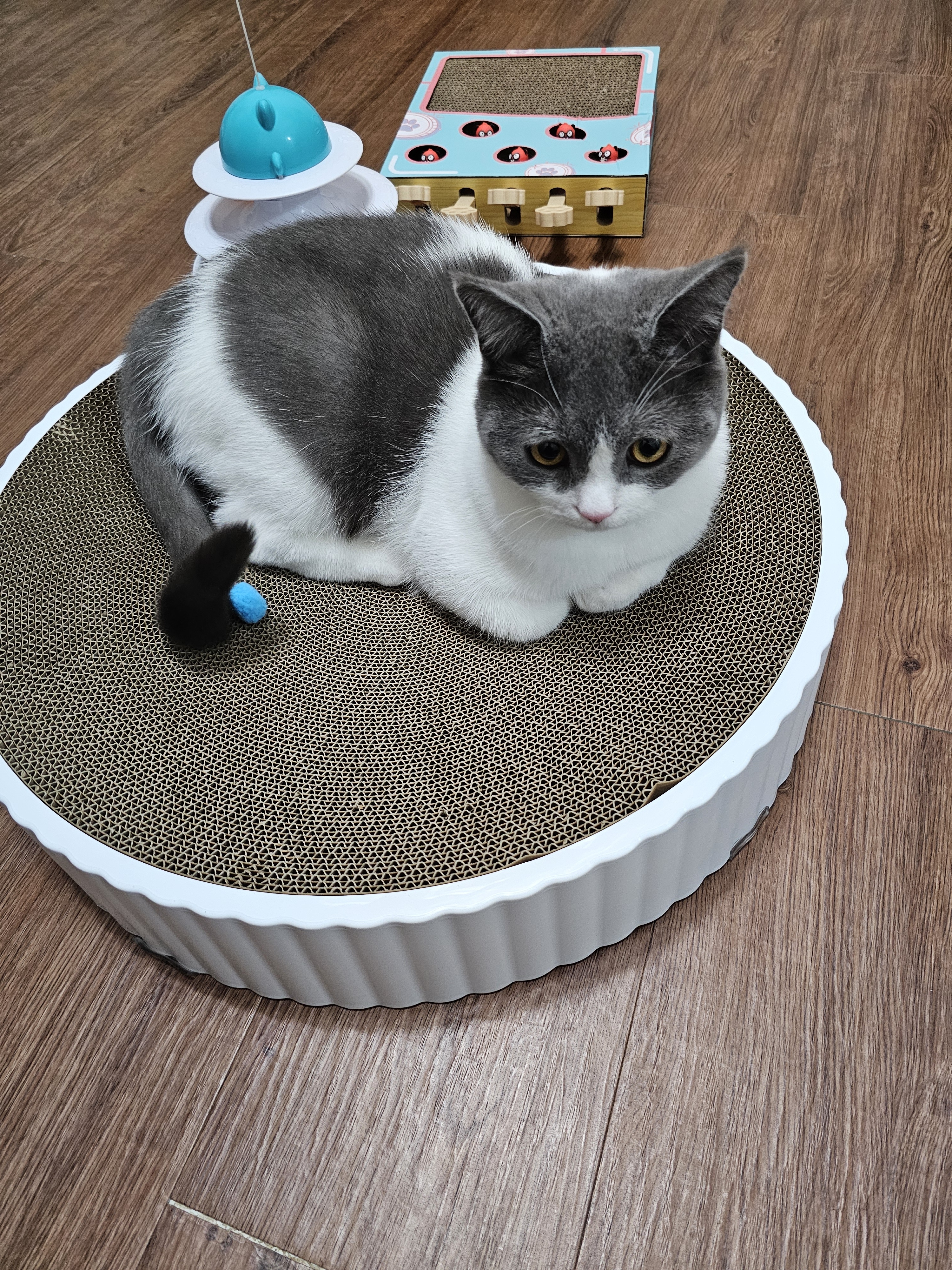 리뷰 이미지