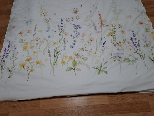 이미지를 찾을 수 없습니다.