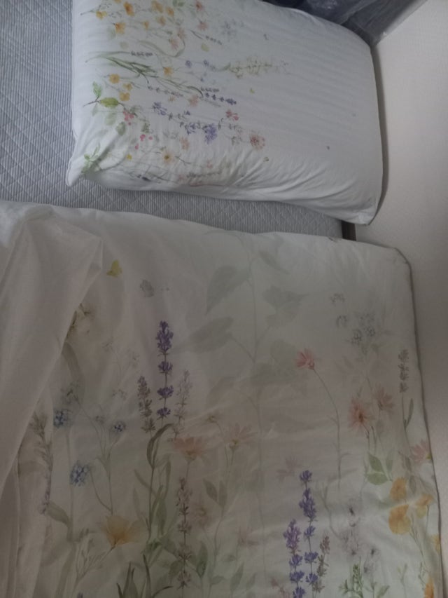 이미지를 찾을 수 없습니다.