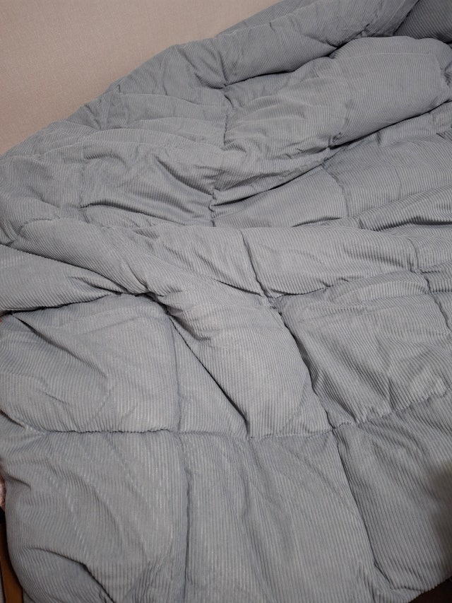 이미지를 찾을 수 없습니다.