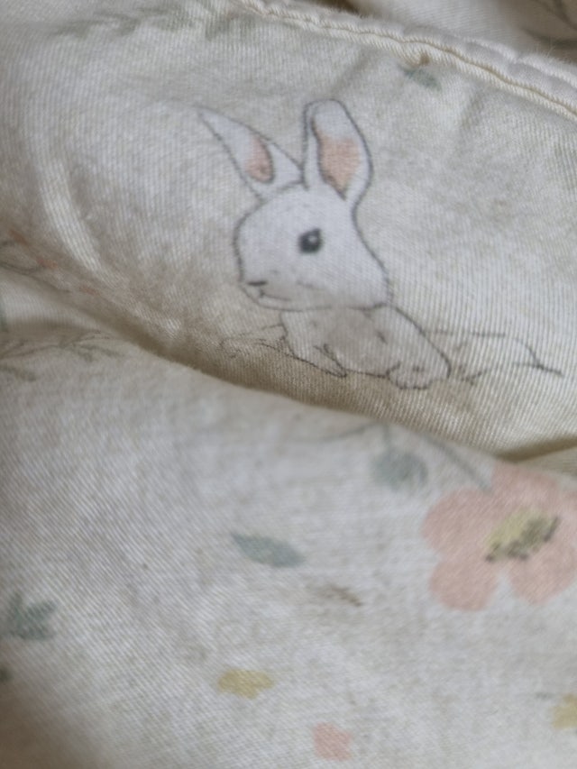 이미지를 찾을 수 없습니다.