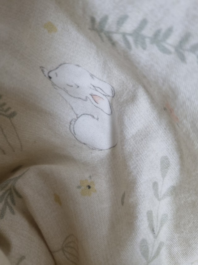 이미지를 찾을 수 없습니다.