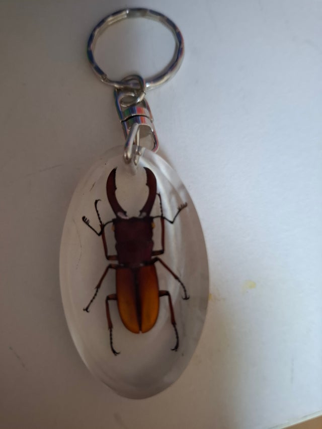 1000011785.jpg?type=w640