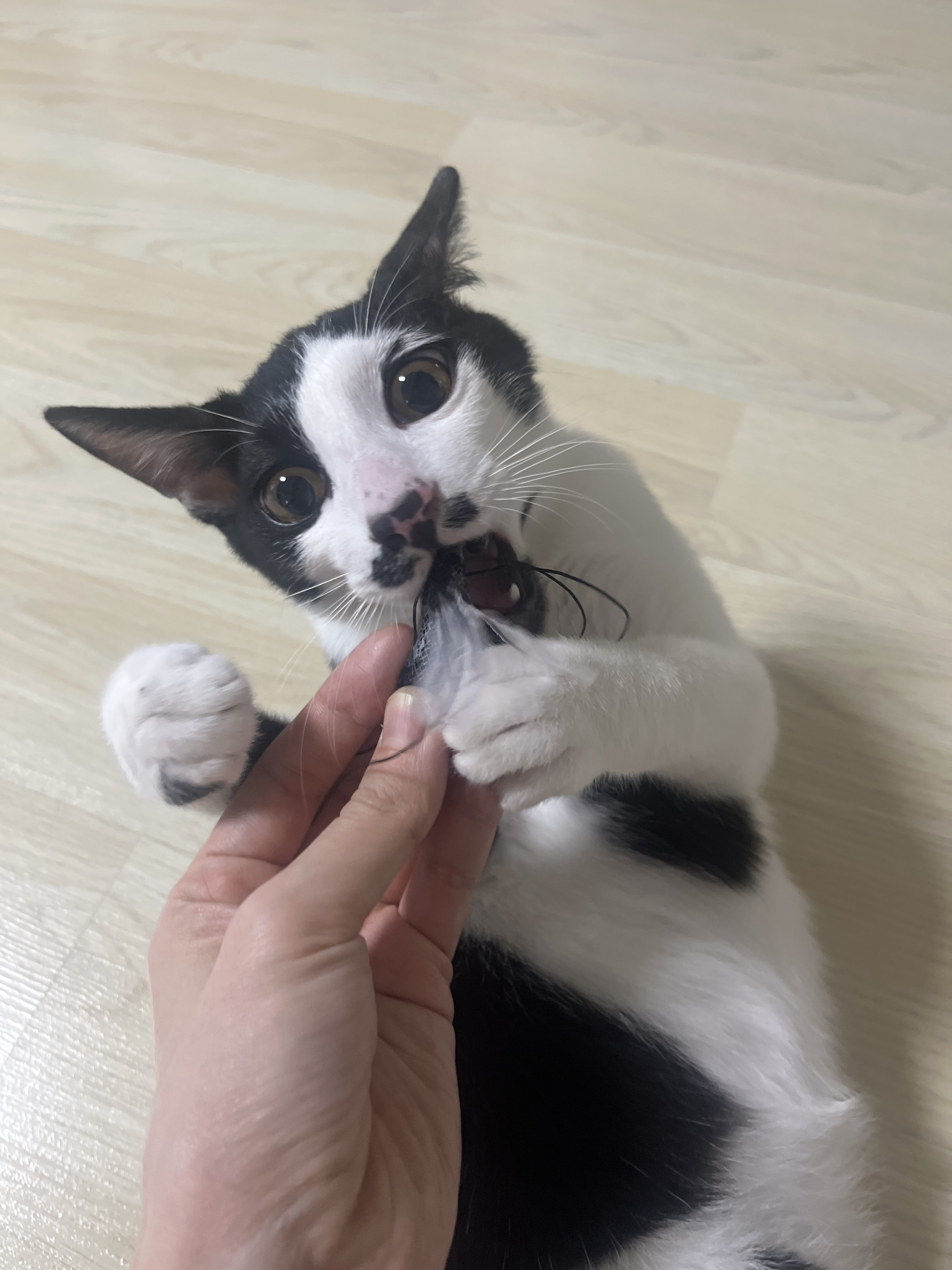 리뷰 이미지