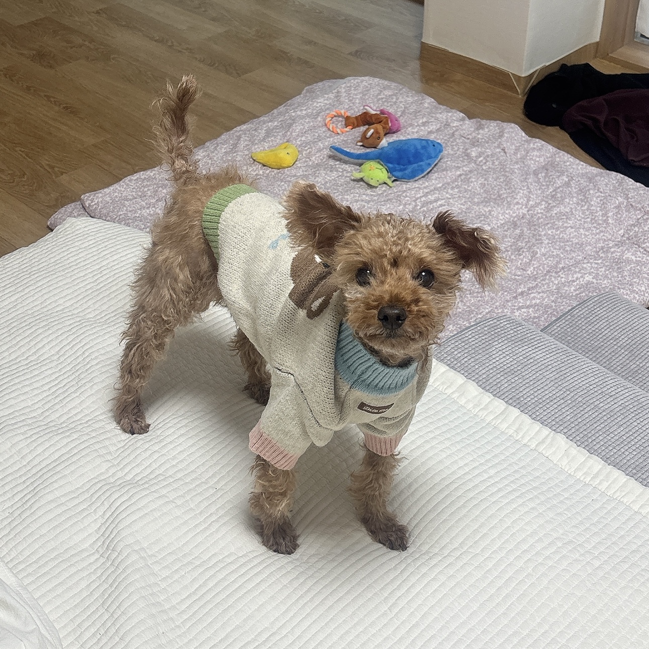 리뷰 이미지