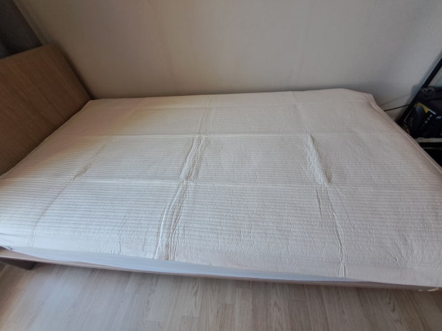 이미지를 찾을 수 없습니다.