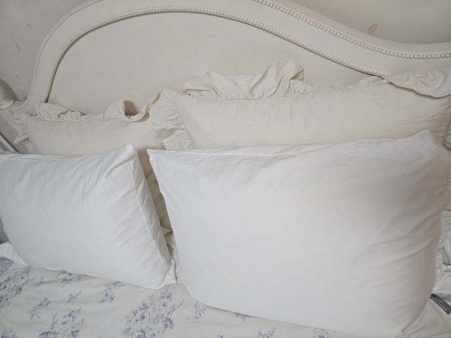 이미지를 찾을 수 없습니다.