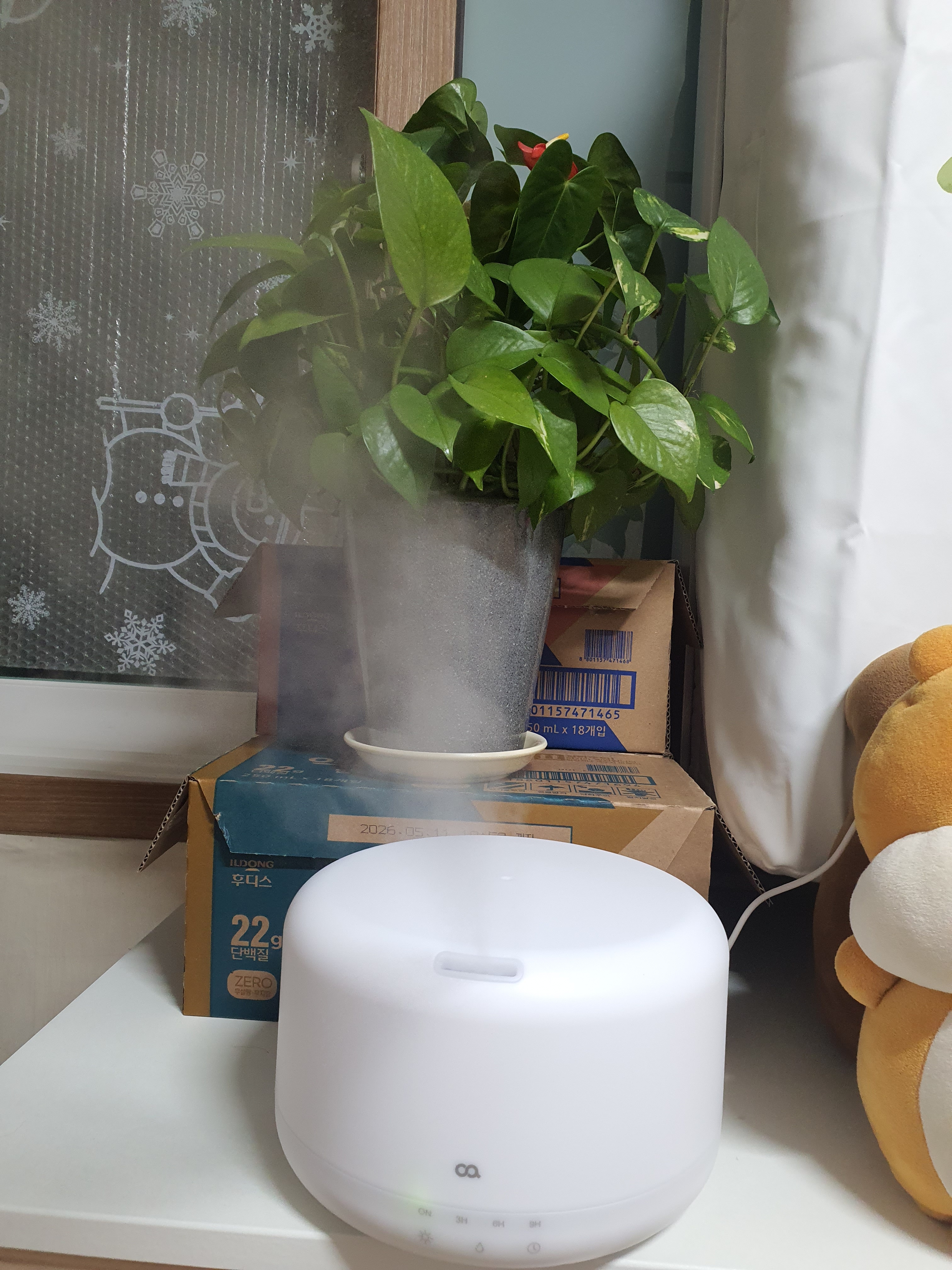 리뷰 이미지