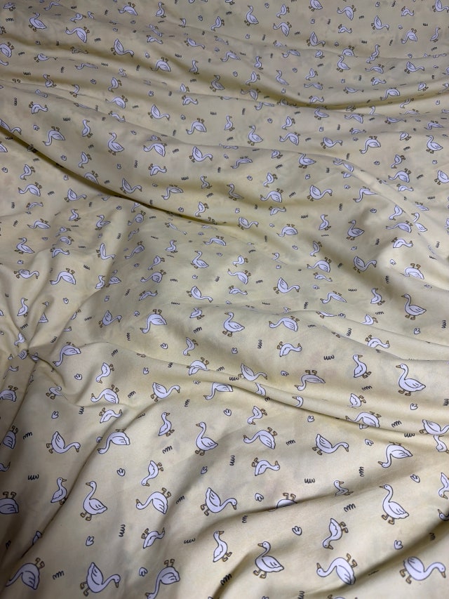 이미지를 찾을 수 없습니다.