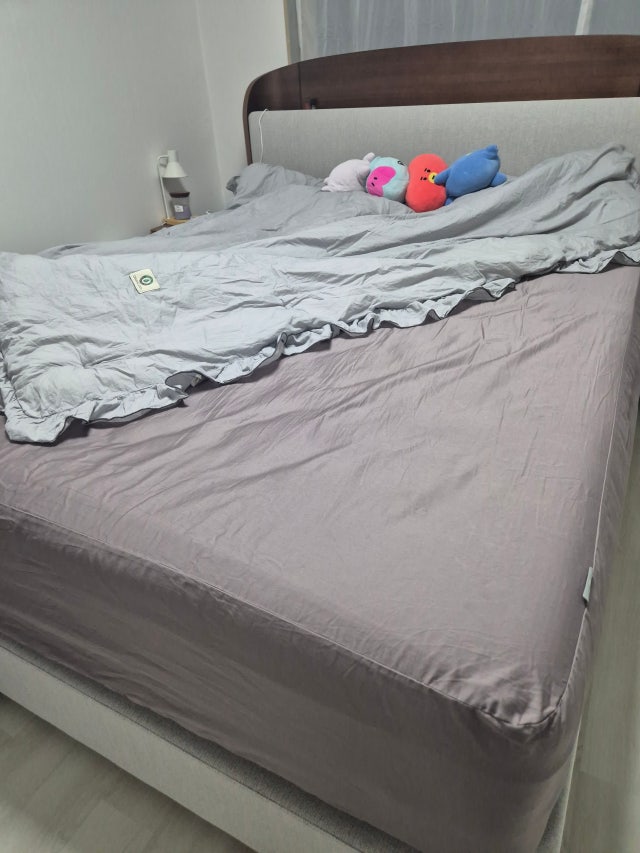 이미지를 찾을 수 없습니다.