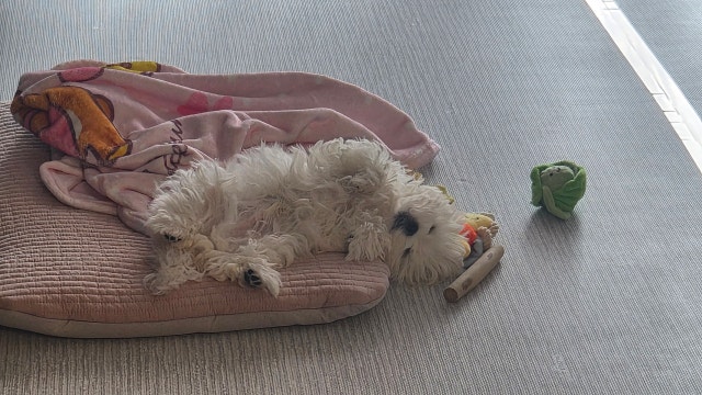 이미지를 찾을 수 없습니다.