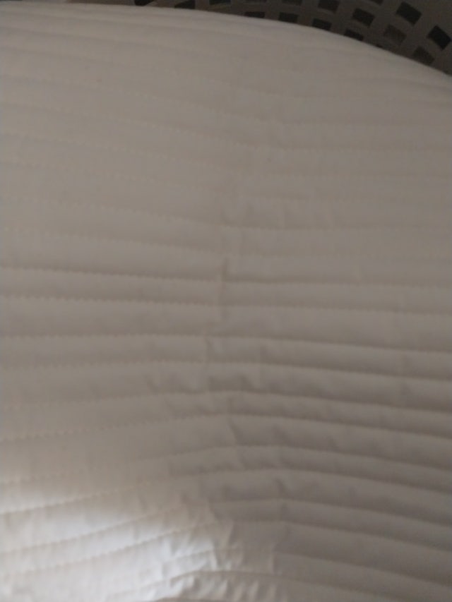 이미지를 찾을 수 없습니다.