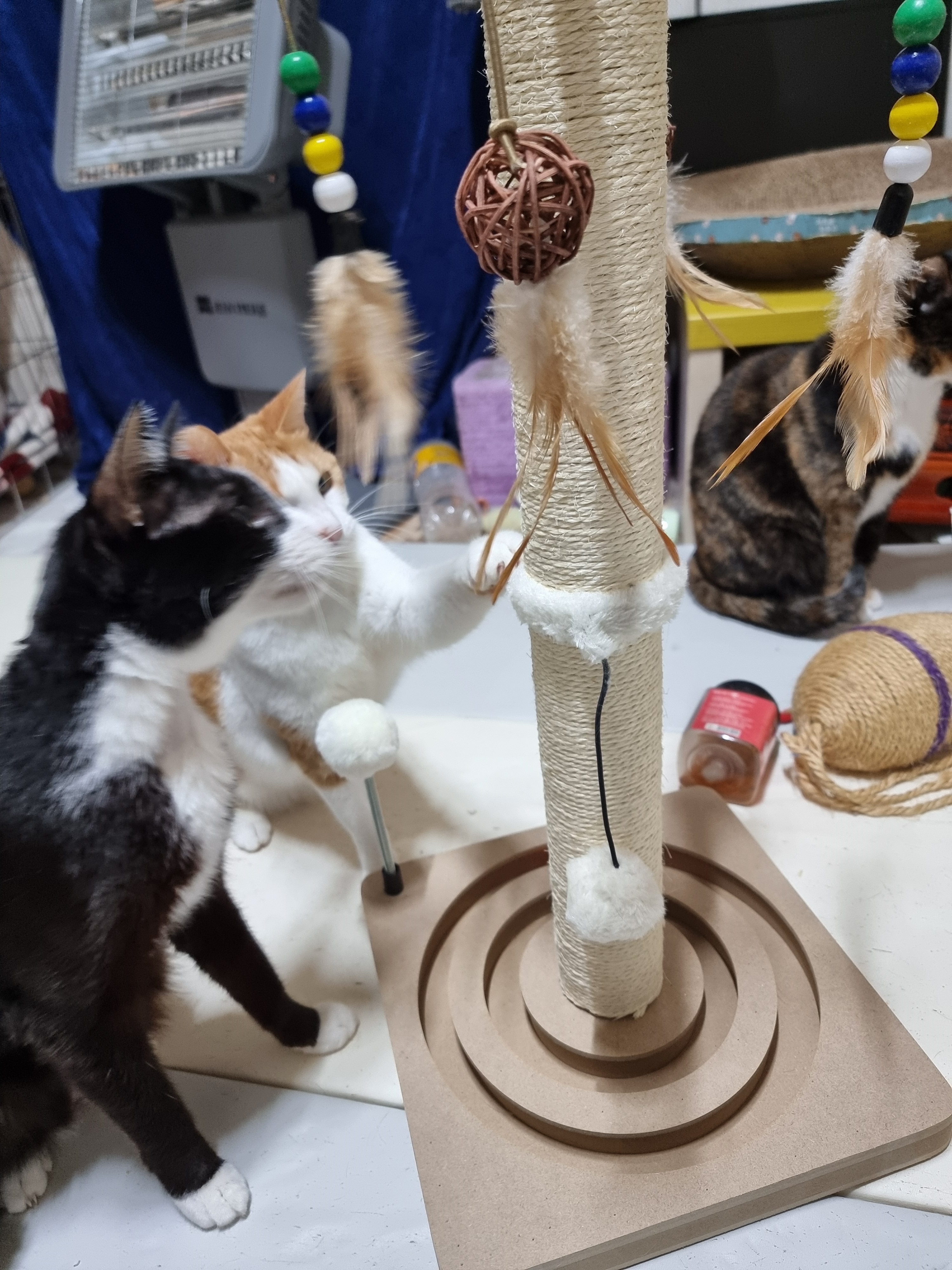 리뷰 이미지