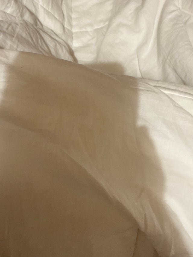 이미지를 찾을 수 없습니다.