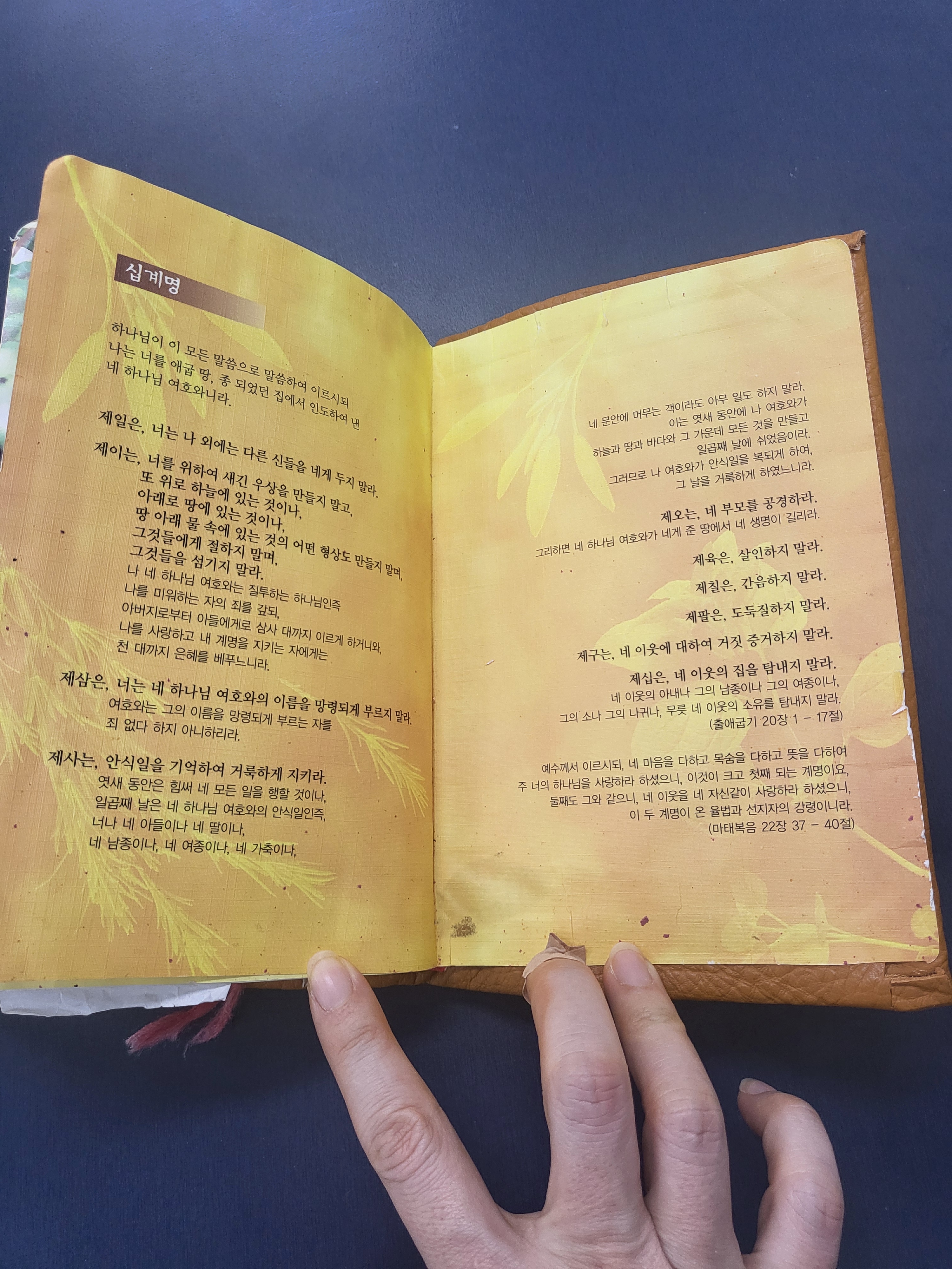 리뷰 이미지