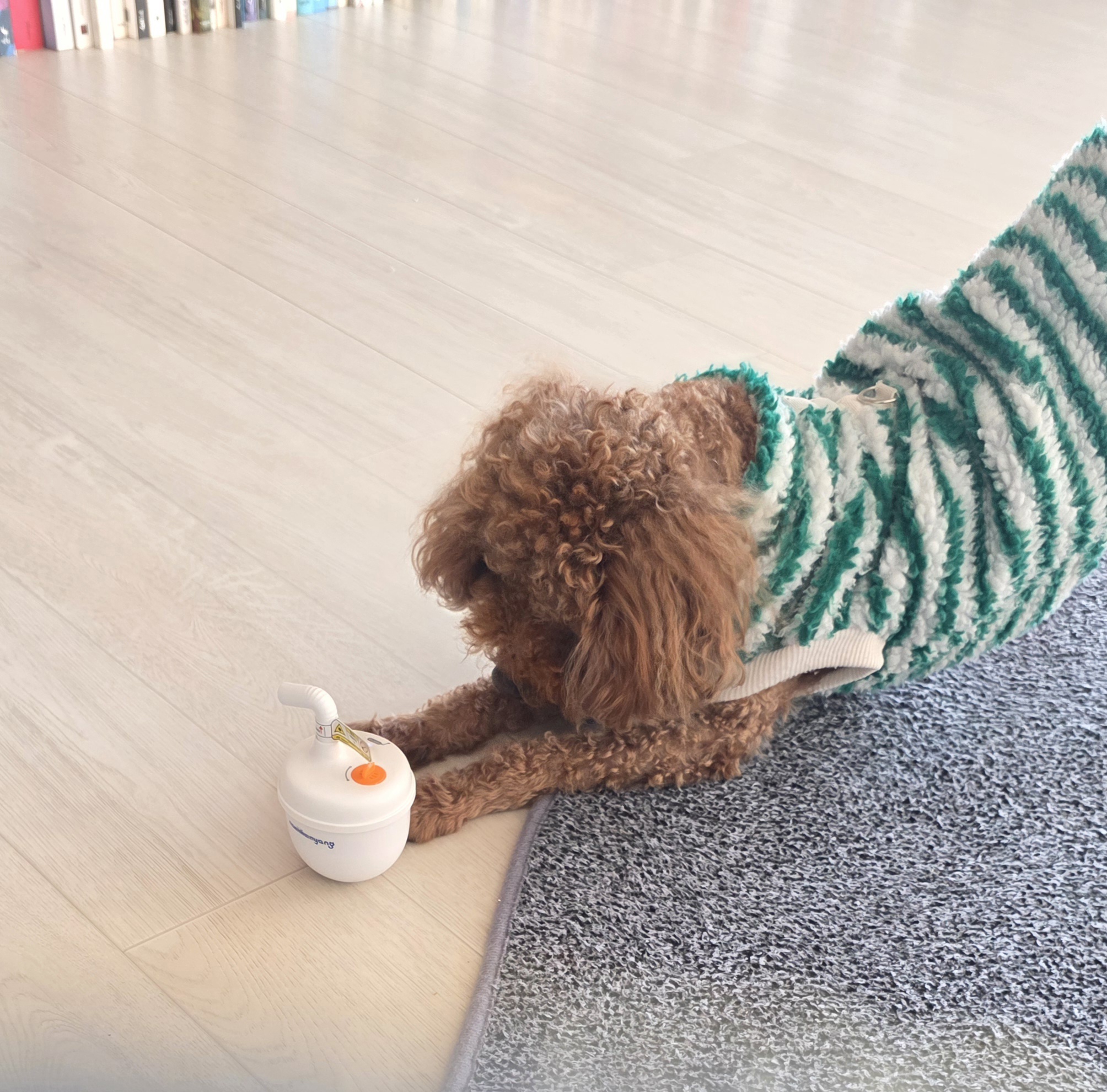 리뷰 이미지