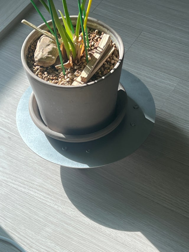image.jpg?type=w640