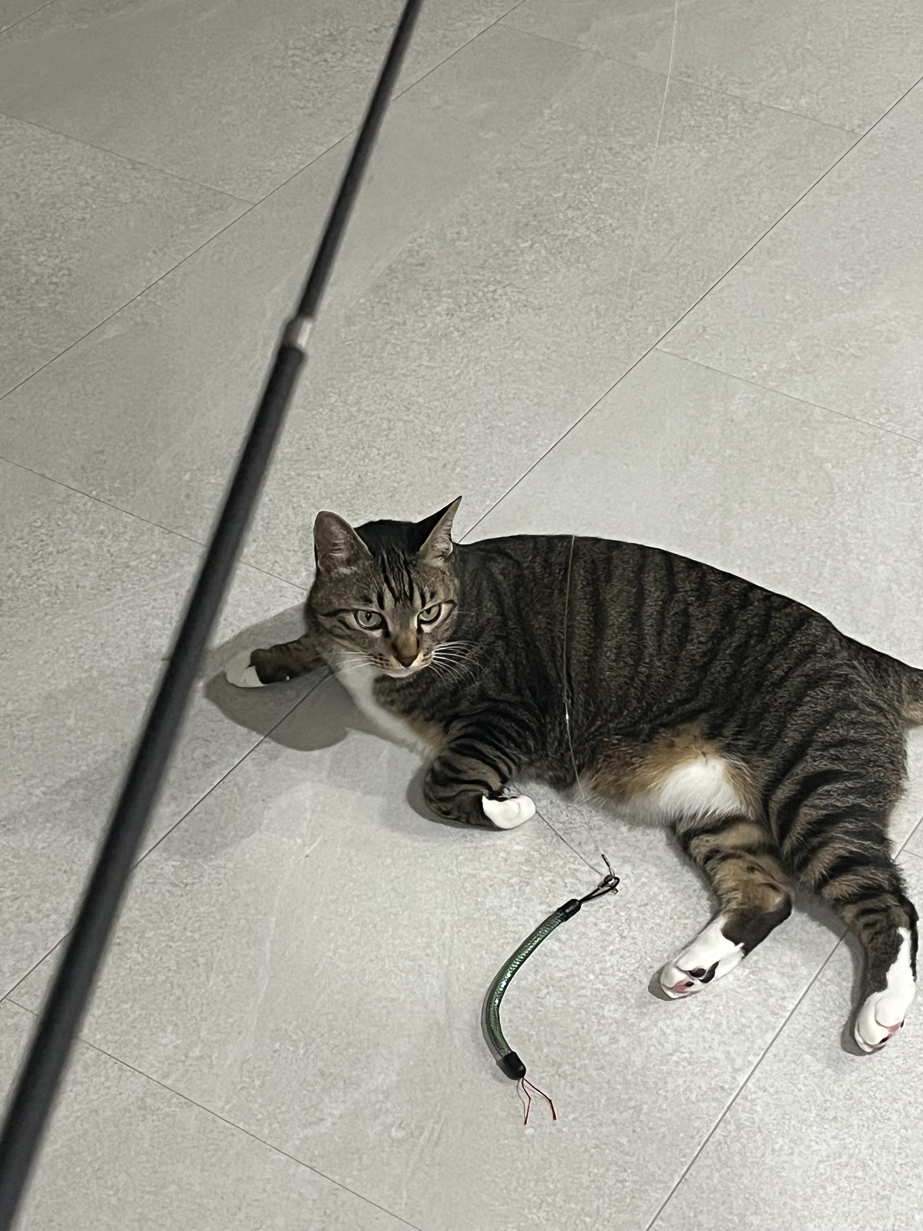 리뷰 이미지