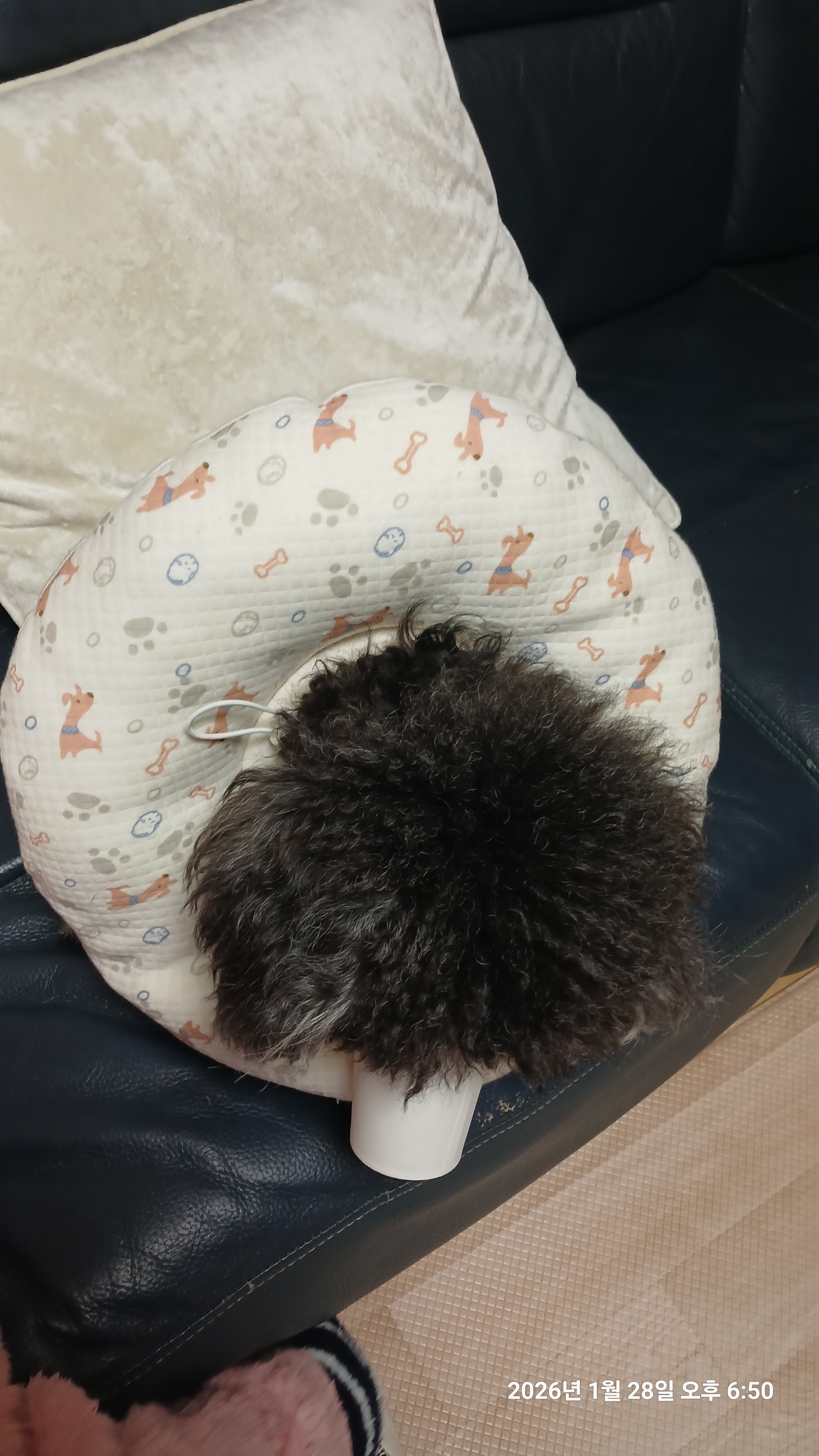 리뷰 이미지
