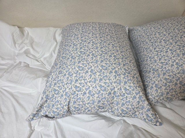 이미지를 찾을 수 없습니다.