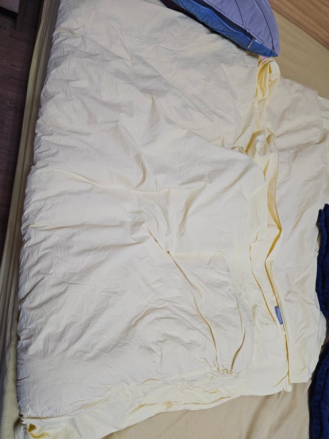 이미지를 찾을 수 없습니다.