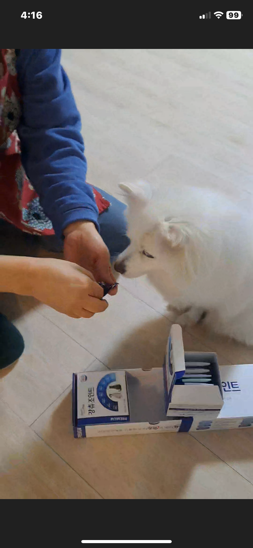 리뷰 이미지
