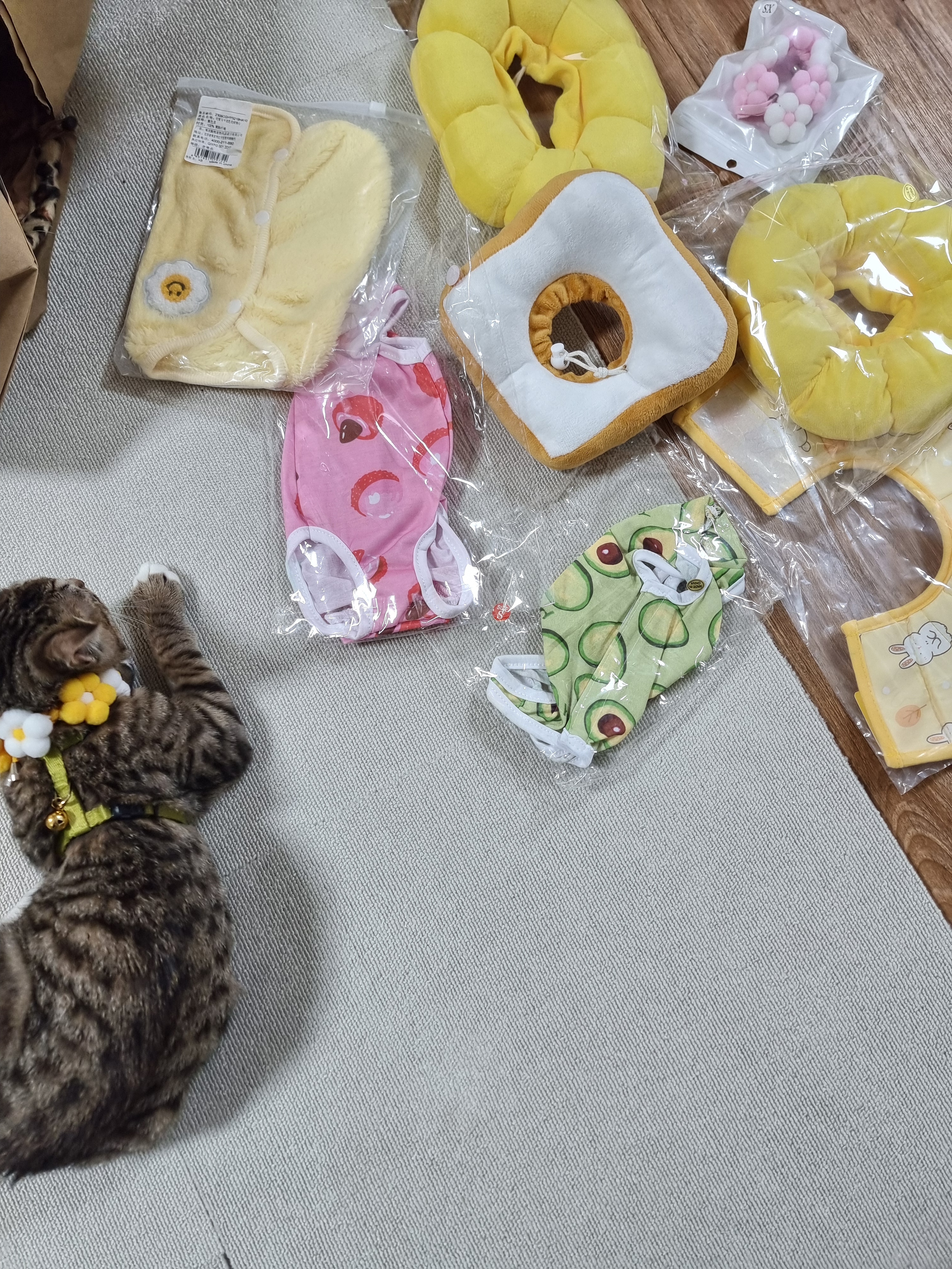 리뷰 이미지