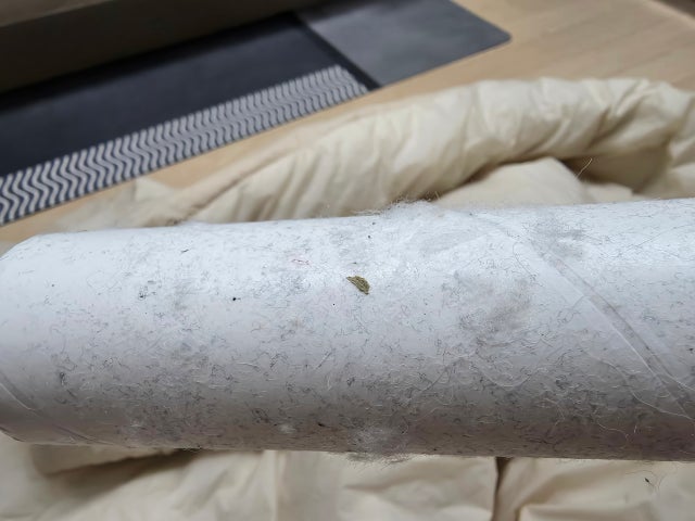 이미지를 찾을 수 없습니다.