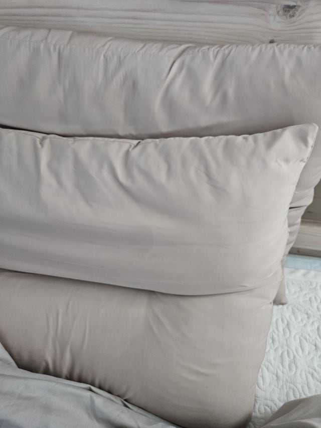 이미지를 찾을 수 없습니다.