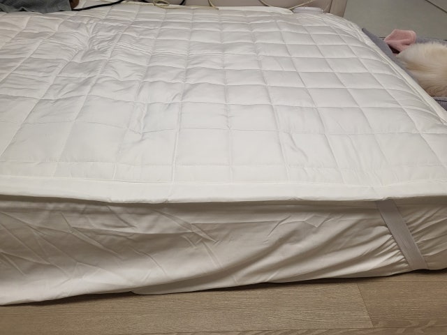 이미지를 찾을 수 없습니다.