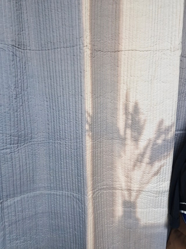 이미지를 찾을 수 없습니다.