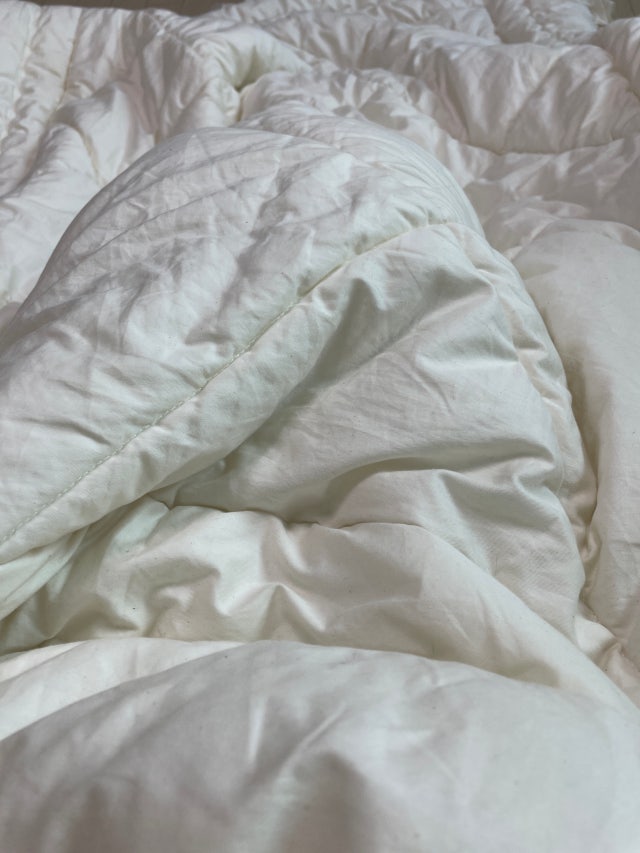 이미지를 찾을 수 없습니다.