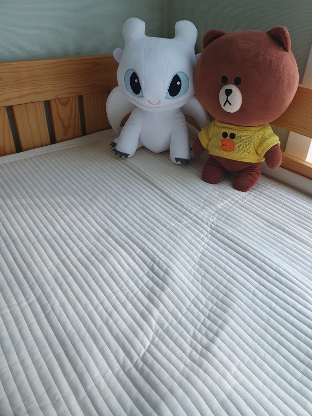 이미지를 찾을 수 없습니다.